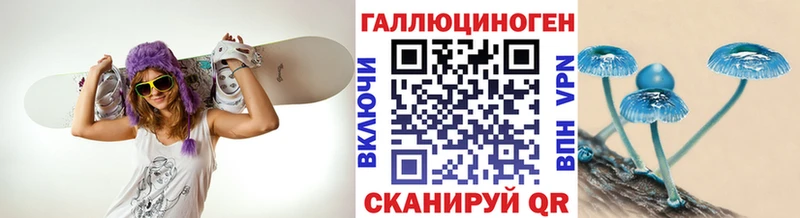 Галлюциногенные грибы GOLDEN TEACHER  купить  сайты  Кологрив 