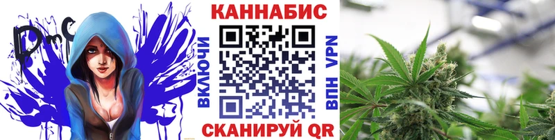 цены Кологрив Канабис MAZAR